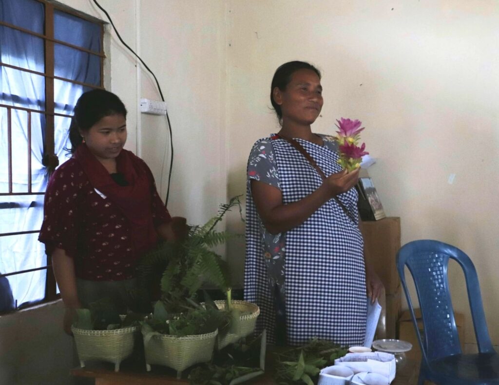 Kong Pliemon showcased the wild edible plants found in Khweng