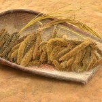 photo by Annelie Bernhart