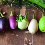 Different varieties of eggplants found in Kong Redian's kitchen garden.