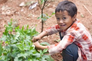 kid with plant