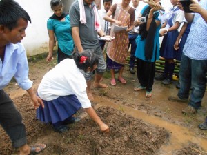 Three types of beans, pumpkin and luffa were planted.