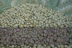 Employment Notification