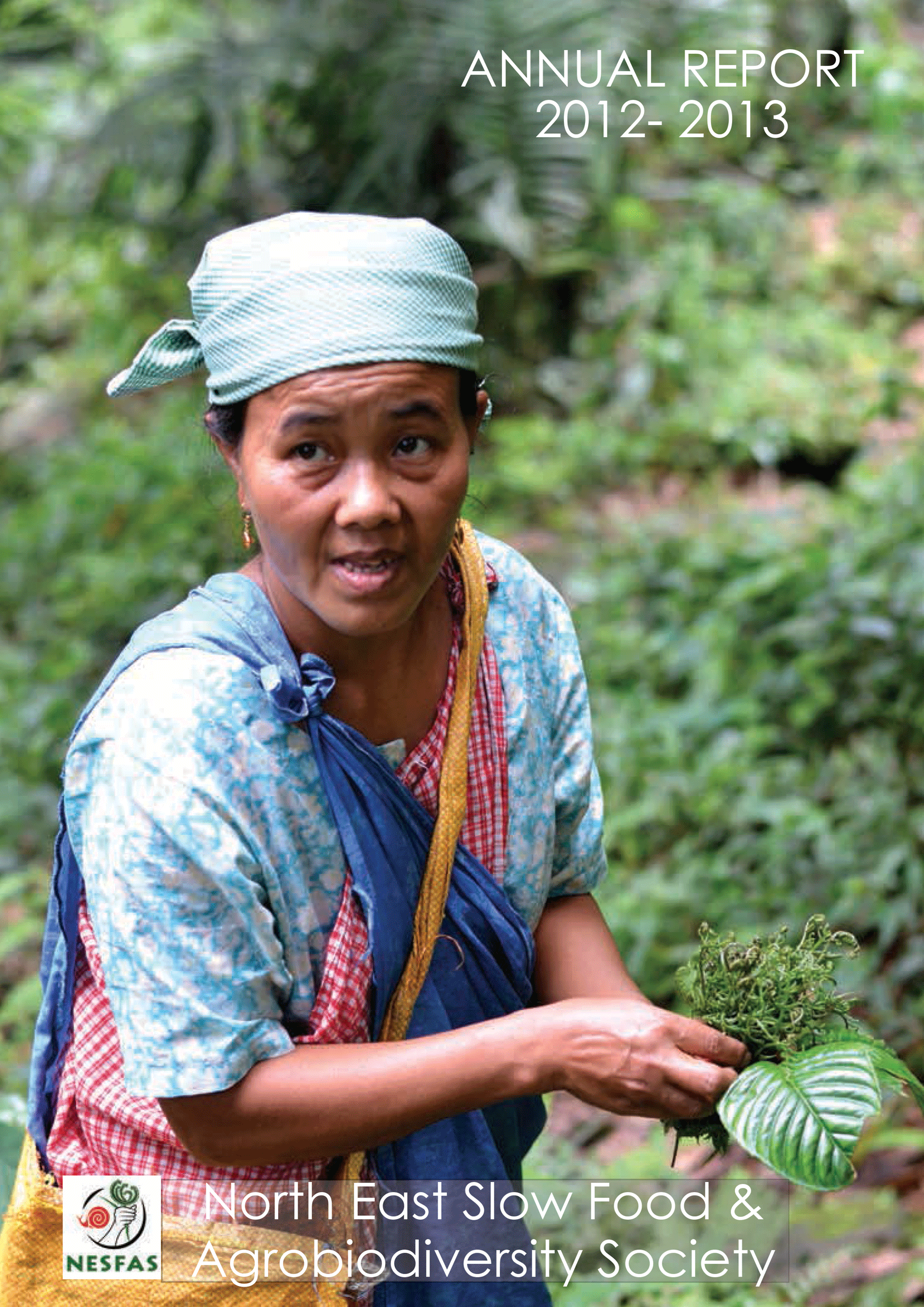 NESFAS-Annual-Report-1