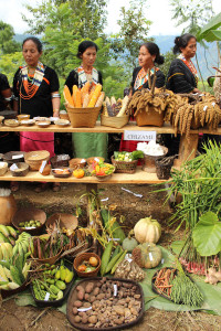 Biodiversity display