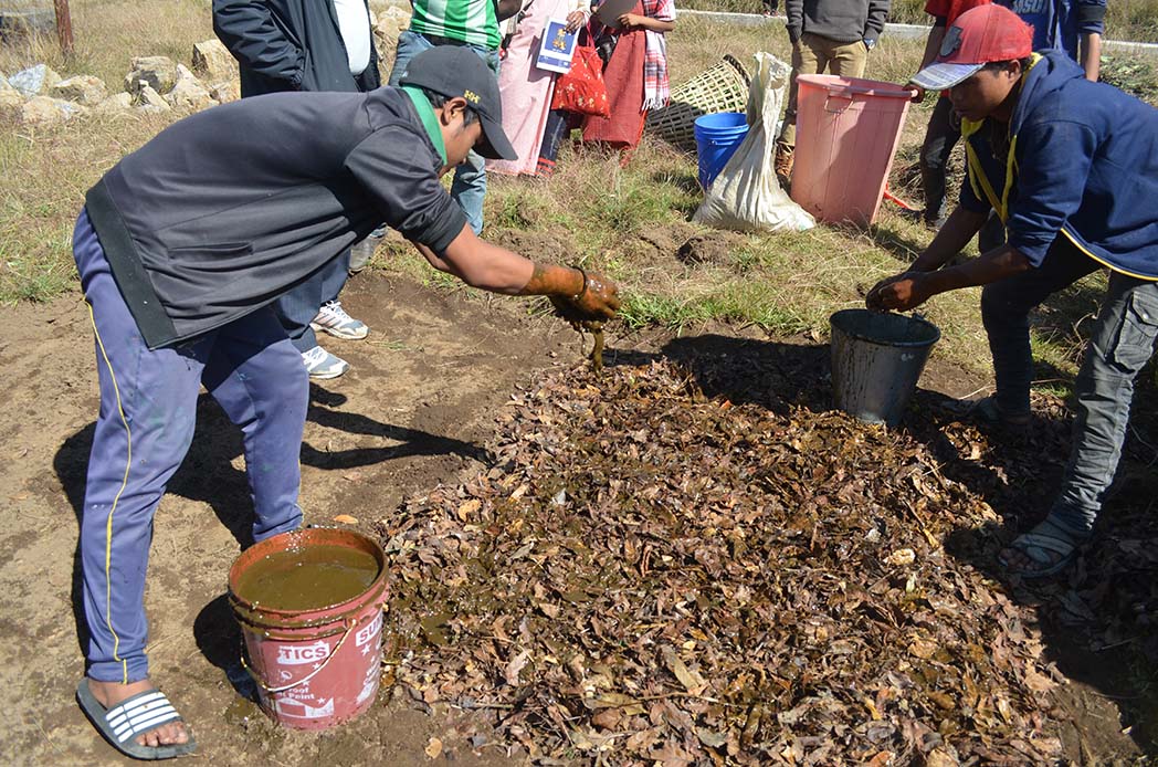 Cow dung mixed with water