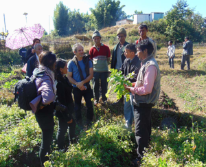 In Moosakhia School Garden. 