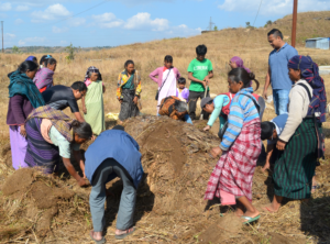 Traditional Composting