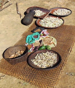 Food biodiversity