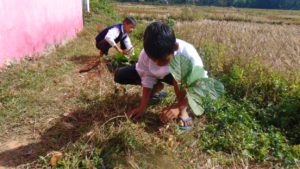 young students being involve after their classes in their school garden