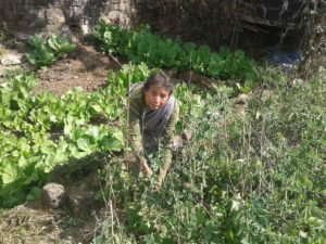 women farmer