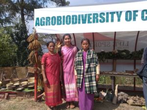 Seedkeepers meghalaya