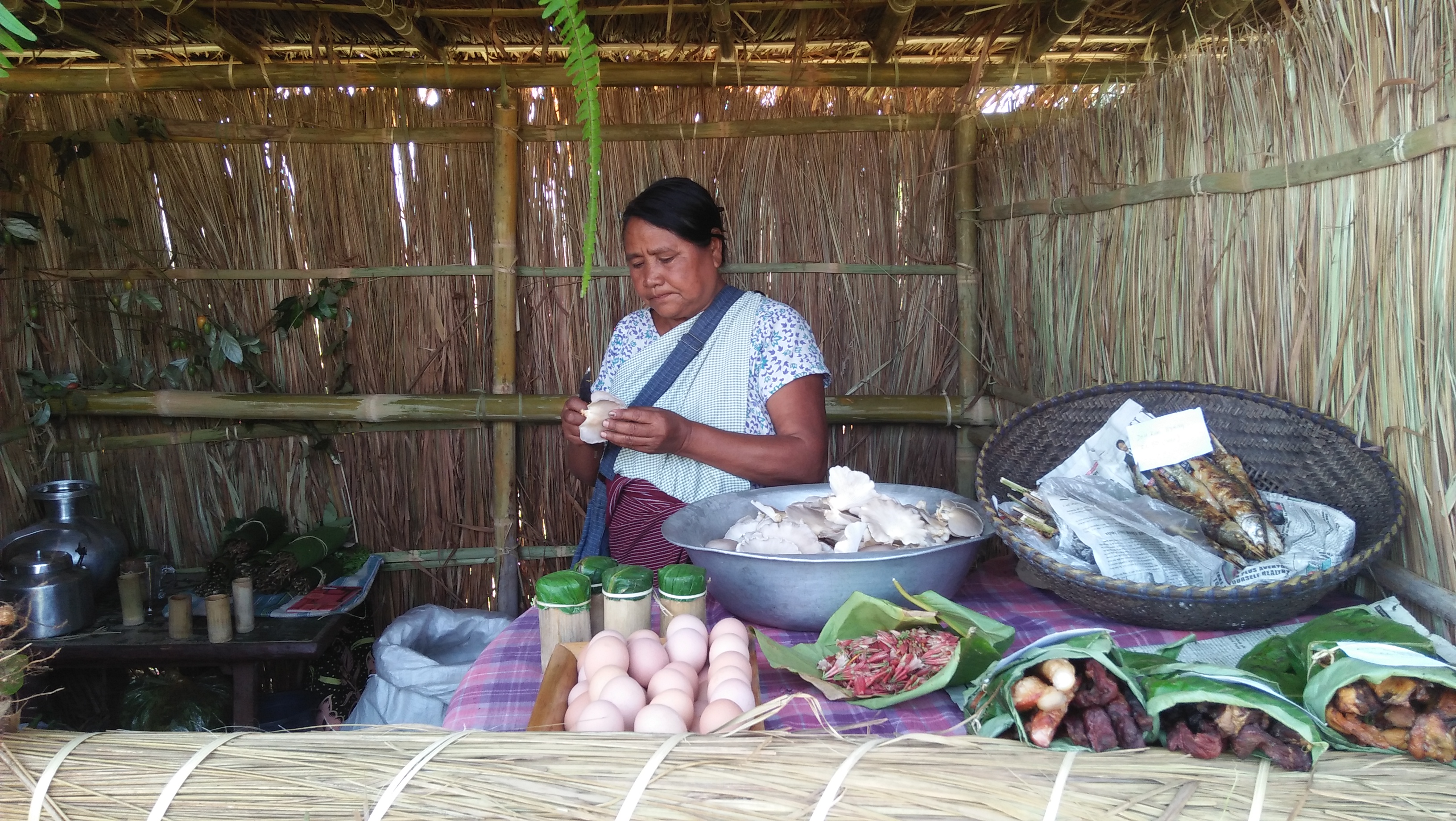 meghalaya rice