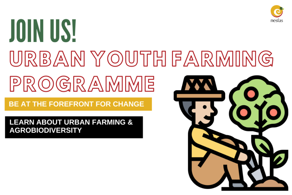 Urban Youth Farming Programme
