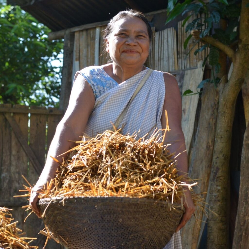 Plantina Mujai, Khweng Plantina Mujai, a custodian cook and owner of a Mei-Ramew cafe, introduced customers to authentic Bhoi cuisine Mission: To help people connect through traditional cuisines and promote the rich agrobiodiversity of her region. Community contributions: She has introduced visitors to the benefits of local plants and conducted cooking demonstrations for the youths and children in the communities. She represented the communities on different platforms. Her cafe also serves as a selling point for many farmers. Impact they made in the community: Appreciation for local food increased through this initiative