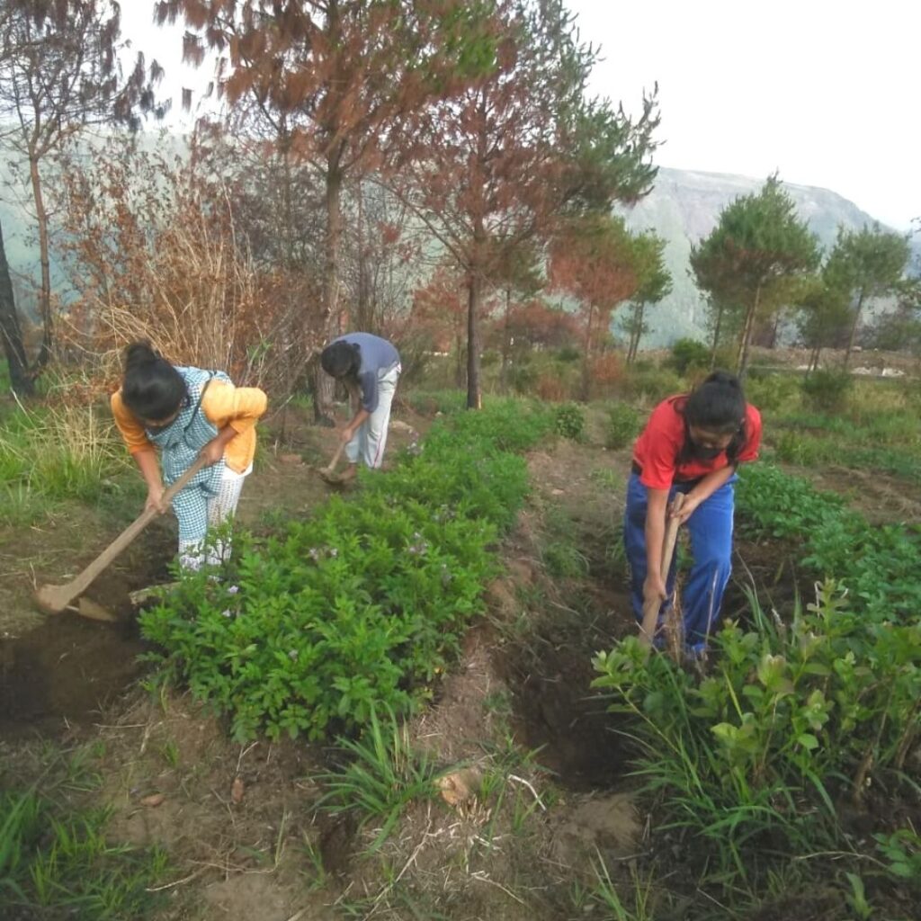 ALC Ecological Garden NESFAS