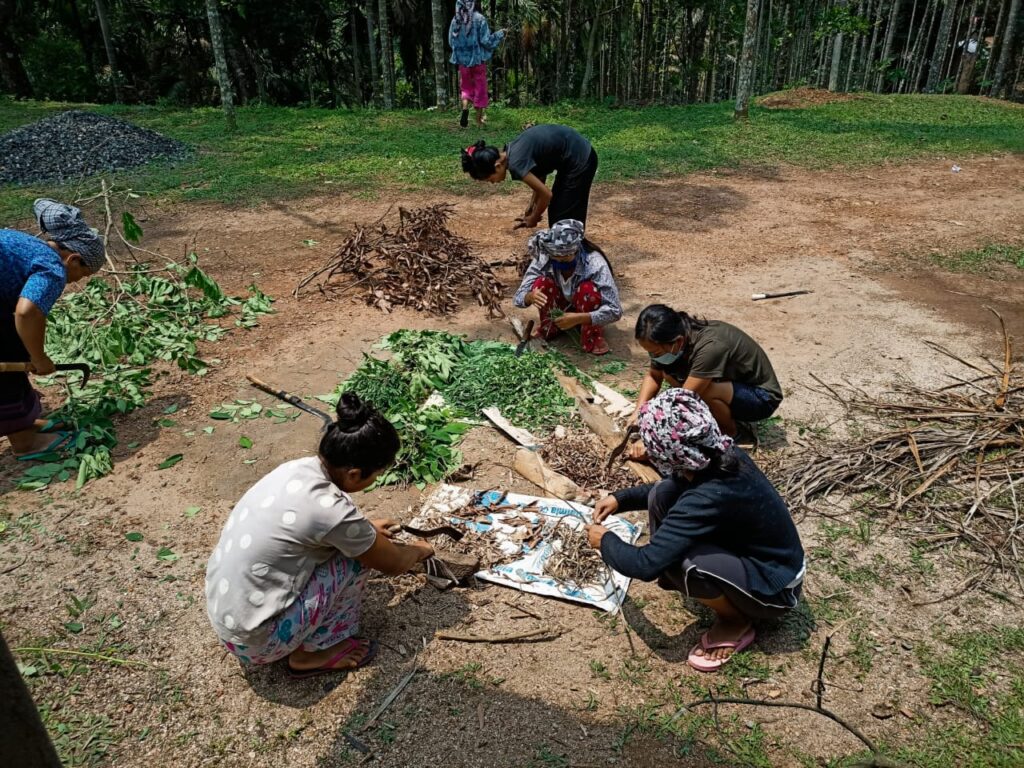 Empowering youth to strengthen Indigenous Food Systems