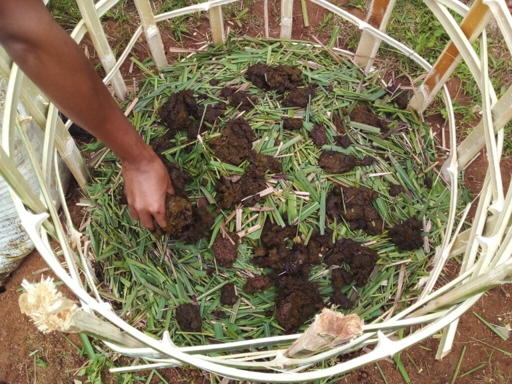 Empowering youth to strengthen Indigenous Food Systems