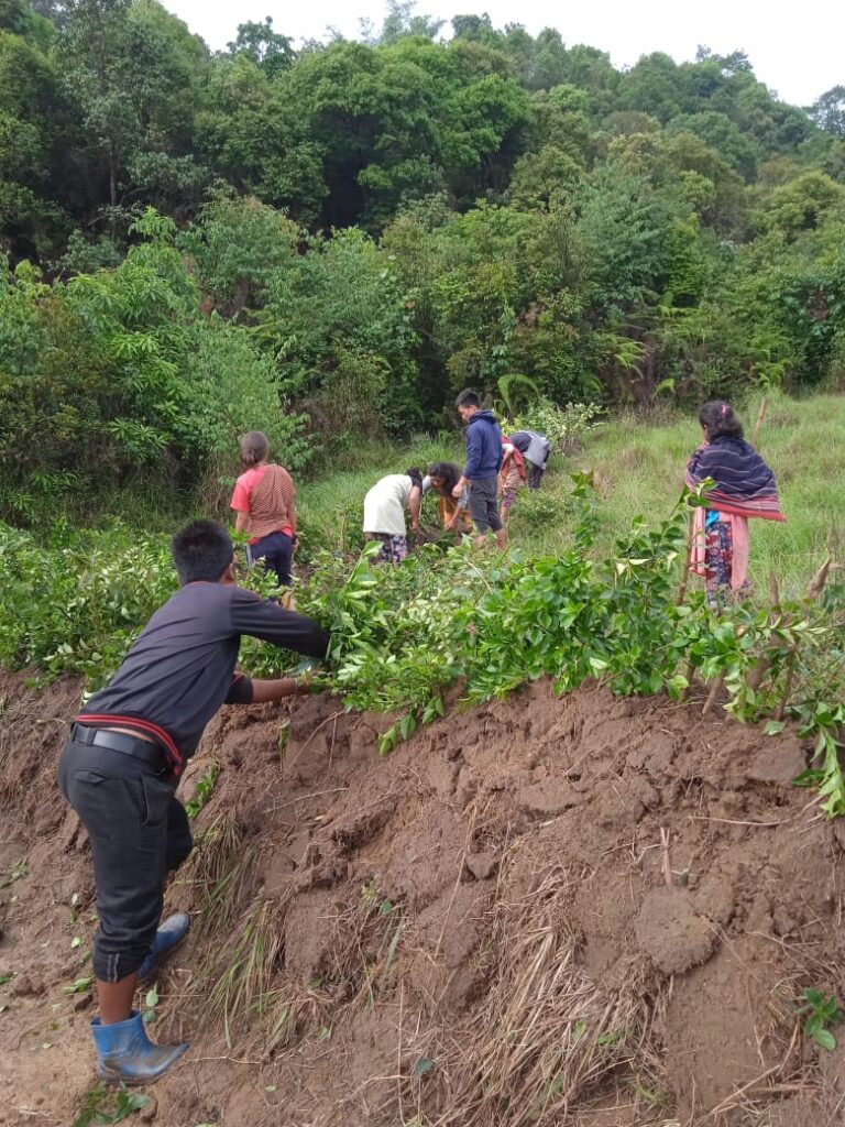 Empowering youth to strengthen Indigenous Food Systems