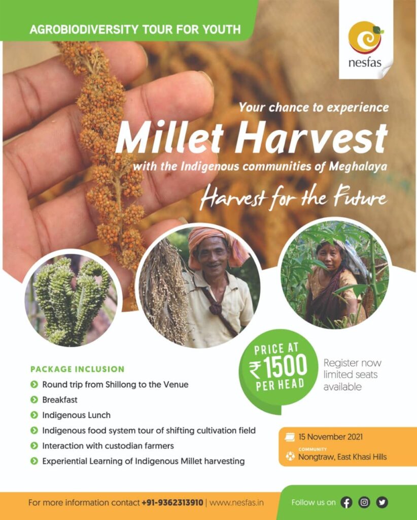 Millet Tour