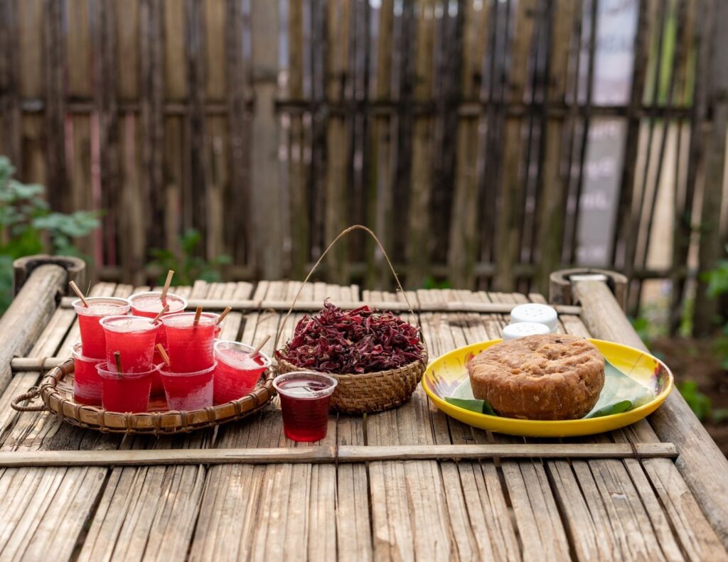 Roselle Ice Cream with raw ingredients 